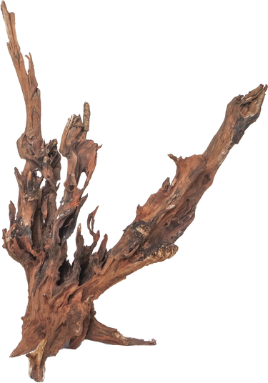 Drift Wood - XL / 50-80cm / pc